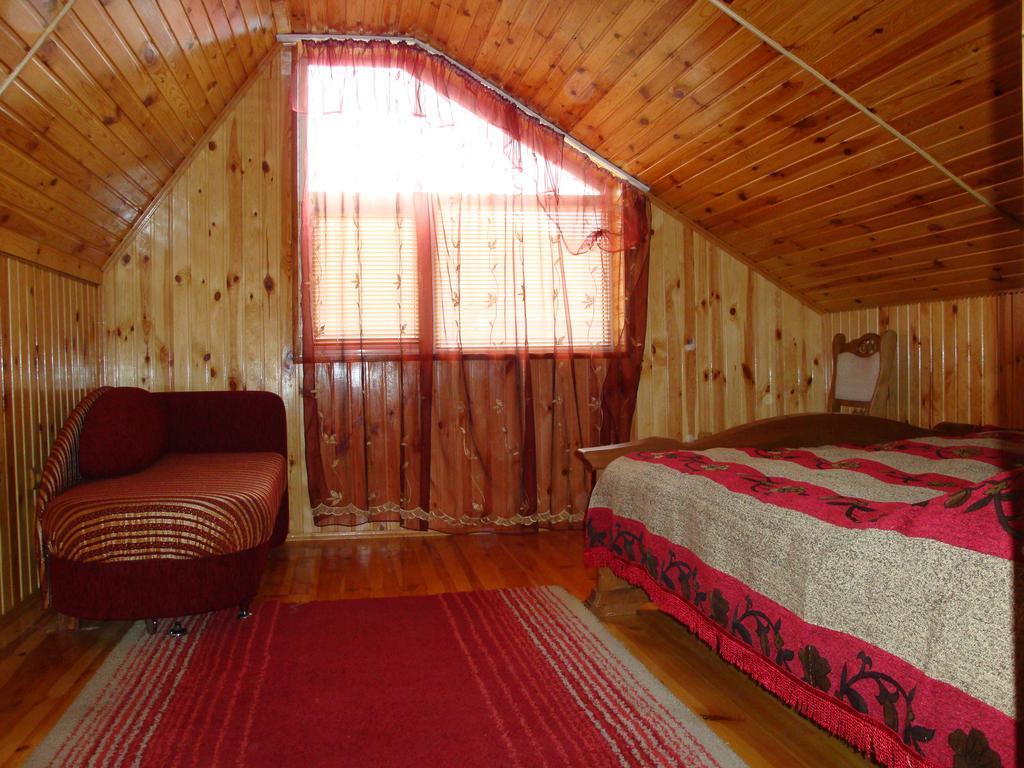 Vyshenka Guest House Iaremcea Cameră foto
