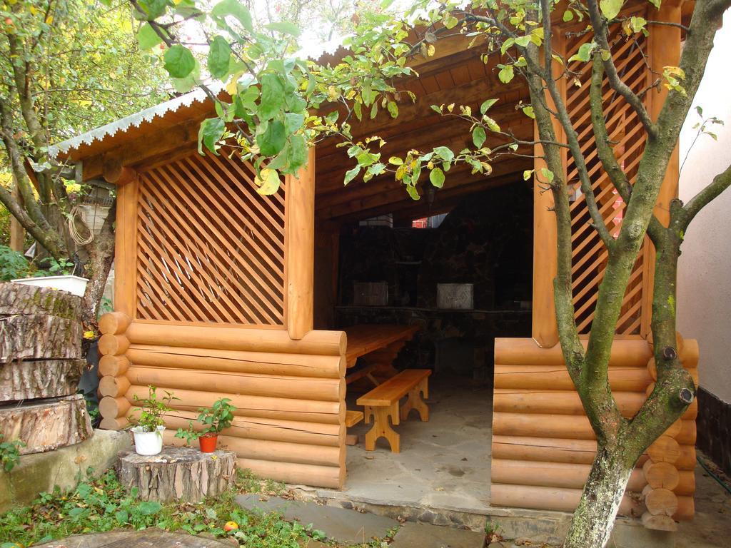 Vyshenka Guest House Iaremcea Exterior foto